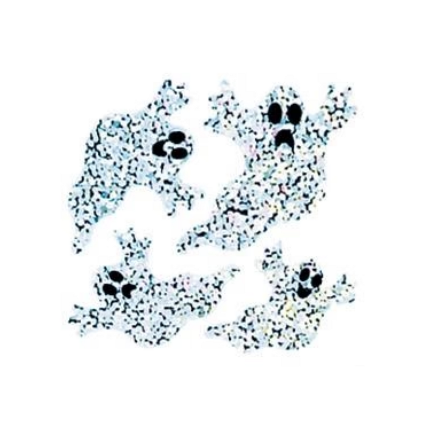 Little Ghost Stickers