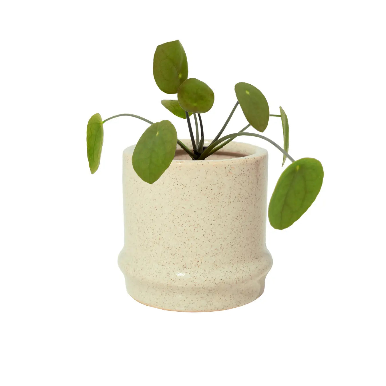 Mini cream coloured plant pot